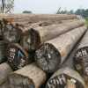 供應高檔梢木（油梢、鐵梢）