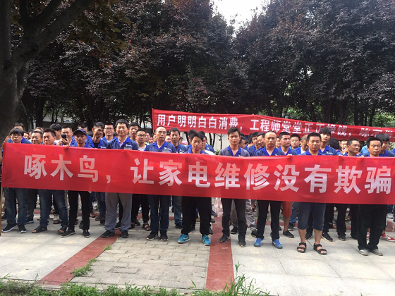 1531988378929612.jpg 3.jpg